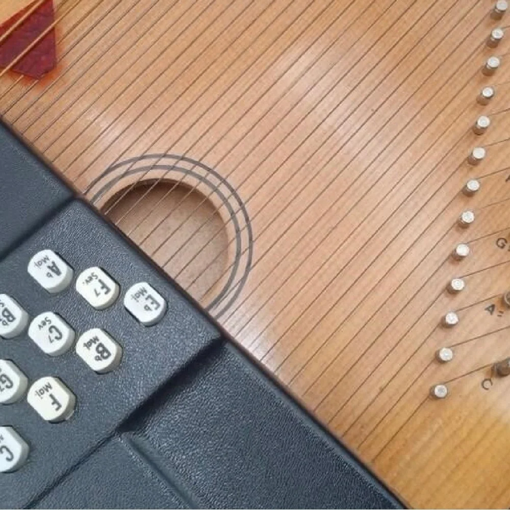 Oscar Schmidt Autoharp - Natural Wood Finish - Picture 6 of 14